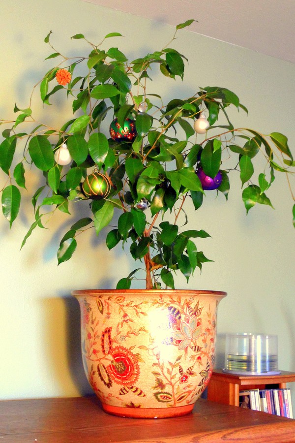 Árvore de natal em um vaso para plantas