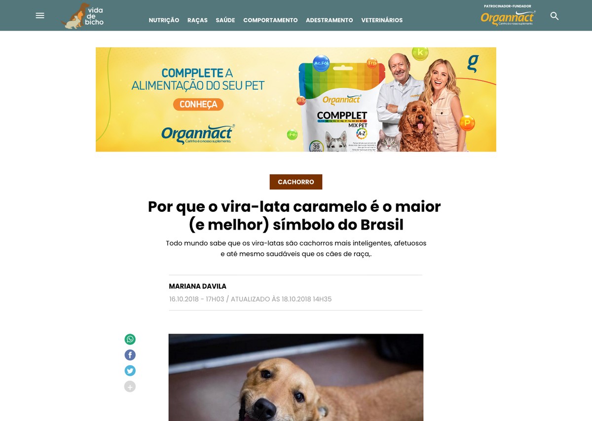 Vida de Bicho: portal sobre o mundo pet estreia nesta quarta (15)