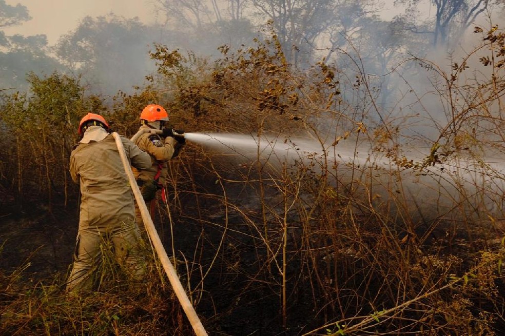 Bombeiros tentam controlar as chamas no Pantanal — Foto: Corpo de Bombeiros