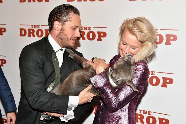 Tom Hardy, Noomi Rapace e a pitbull Nora no lançamento de 'The Drop' (Foto: Getty Images)
