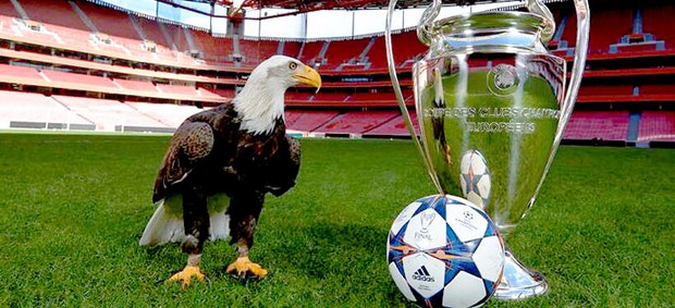 FOI SÓ NA BOLA'! VITÓRIA DO BENFICA DIANTE DO SALZBURGO NA LIGA DOS  CAMPEÕES FOI 'LIMPINHA': BOA GESTÃO DOS LANCES