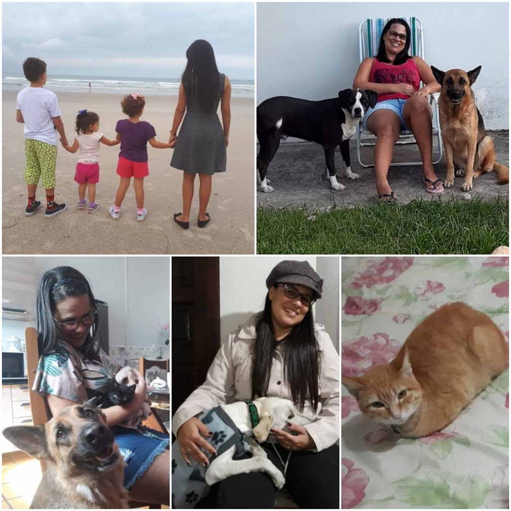 Animal é o terceiro cão de Eliane Santana de Oliveira, que também tem 3 filhos e 3 gatos adotados — Foto: Arquivo pessoal
