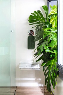 No pequeno boxe, a planta foi usada para trazer um toque de verde e natureza para o banheiro. Esse projeto da paisagista Chris Pierro usou de uma costela-de-adão na floreira junto à janela