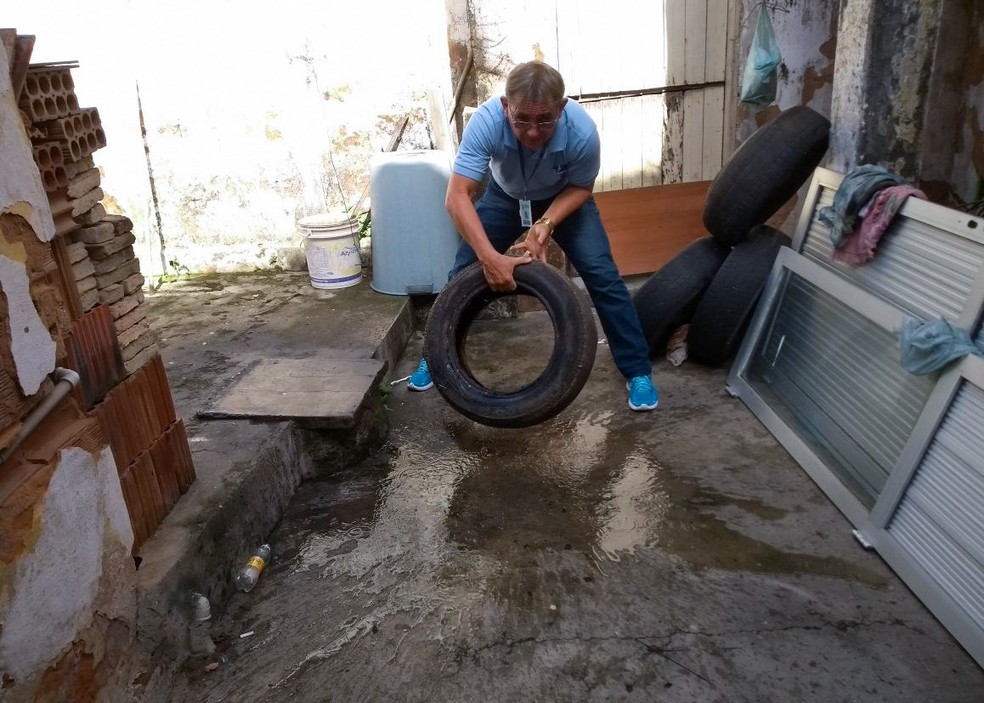 Número de casos de arboviroses diminuiu em Natal, mas SMS pede que população siga com métodos de prevenção — Foto: Divulgação