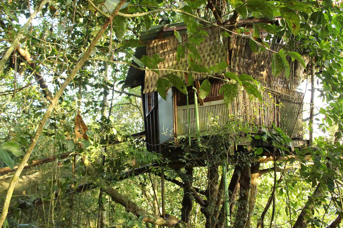 8 Airbnbs isolados no Brasil que te farão querer escapar! (Foto: Divulgação/Airbnb)