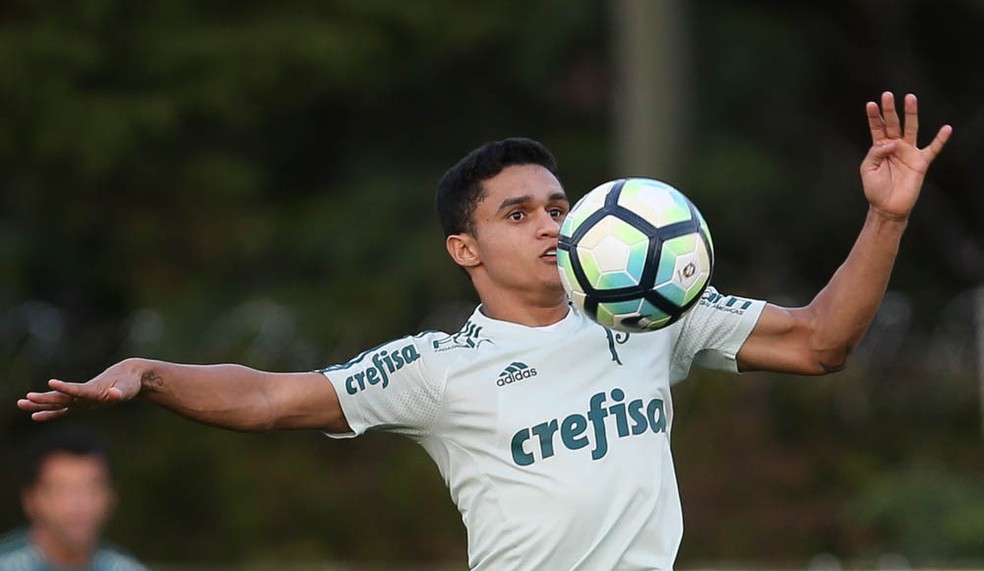 Erik vai defender o Atlético-MG em 2018 (Foto: Ag. Palmeiras/Divulgação)