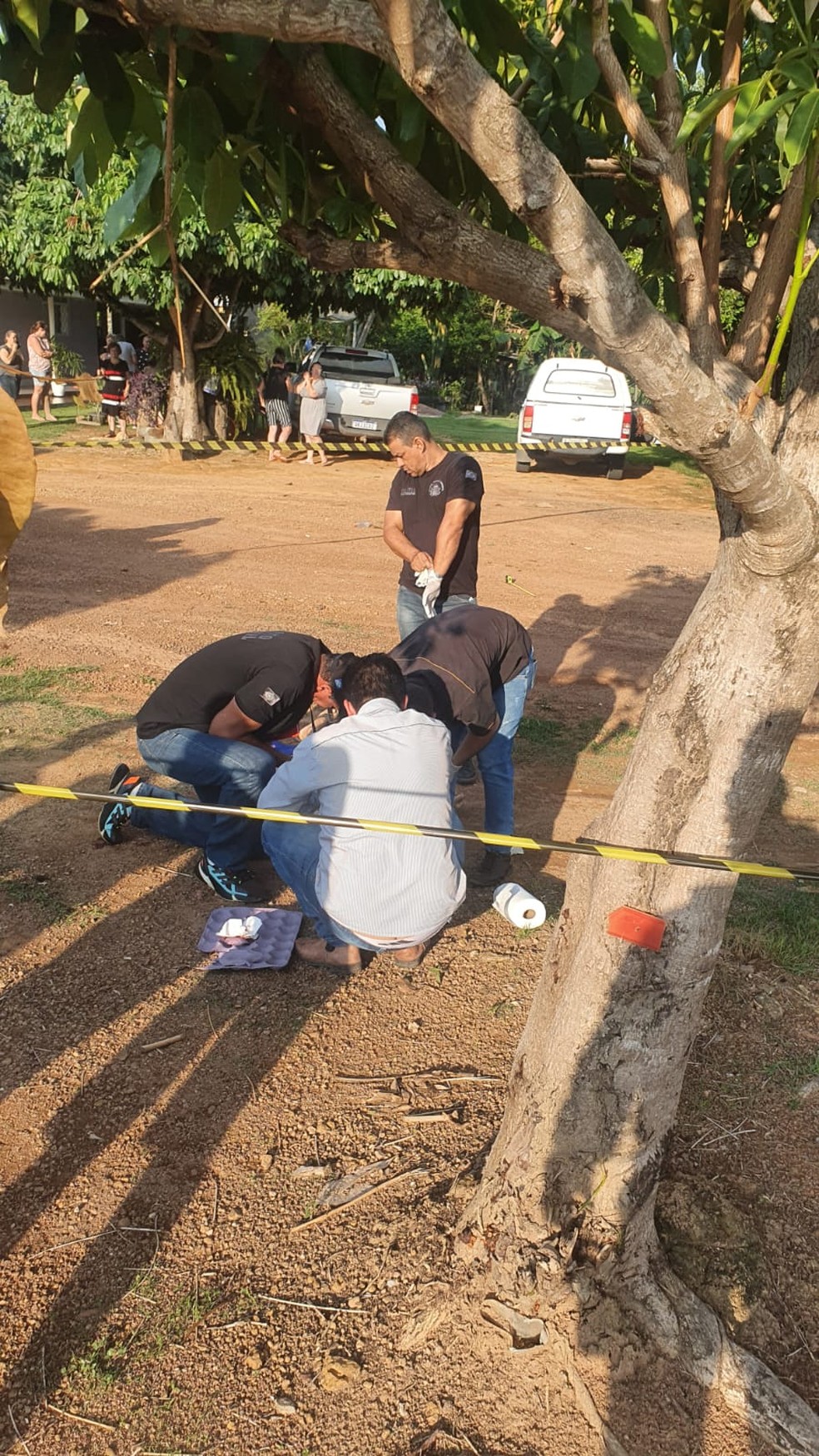  Gestante, de 36 anos, é suspeita de ter matado a tiros um idoso, de 67 anos, e o filho dele, de 37 anos, em Terra Nova do Norte, a 648 km de Cuiabá.  — Foto: Divulgação 