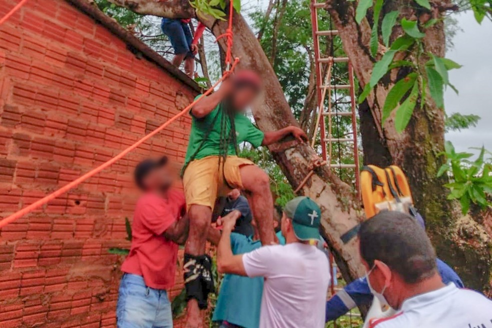 Homem é resgatado por bombeiros em cima de árvore após fraturar perna — Foto: Divulgação/Corpo de Bombeiros