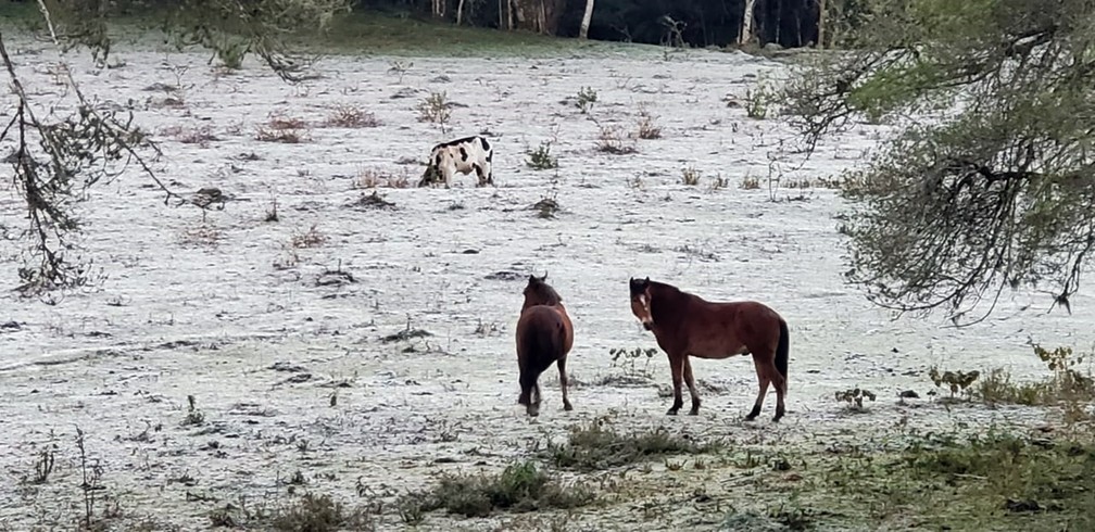 Monte Verde registrou -2,1Âº no dia 7 de julho, segundo o Inmet. â Foto: NÃ©lson Pacheco