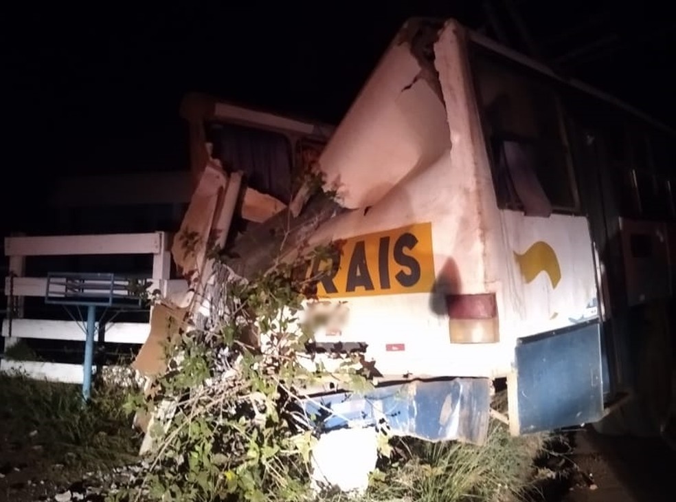 Ônibus bateu em poste e deixou Luiziânia (SP) sem energia elétrica — Foto: Arquivo pessoal