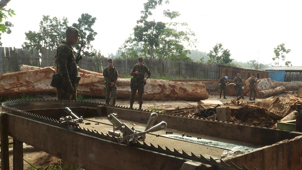Agente inspecionam serraria abandonada em Altamira — Foto: Reprodução/TV Globo