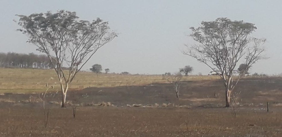 Áreas queimadas foram em Pacaembu e Marabá Paulista — Foto: Polícia Ambiental 