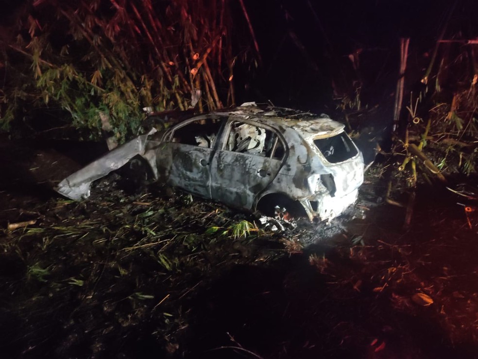 Veículo pegou fogo após bater contra defensa metálica — Foto: Polícia Rodoviária 
