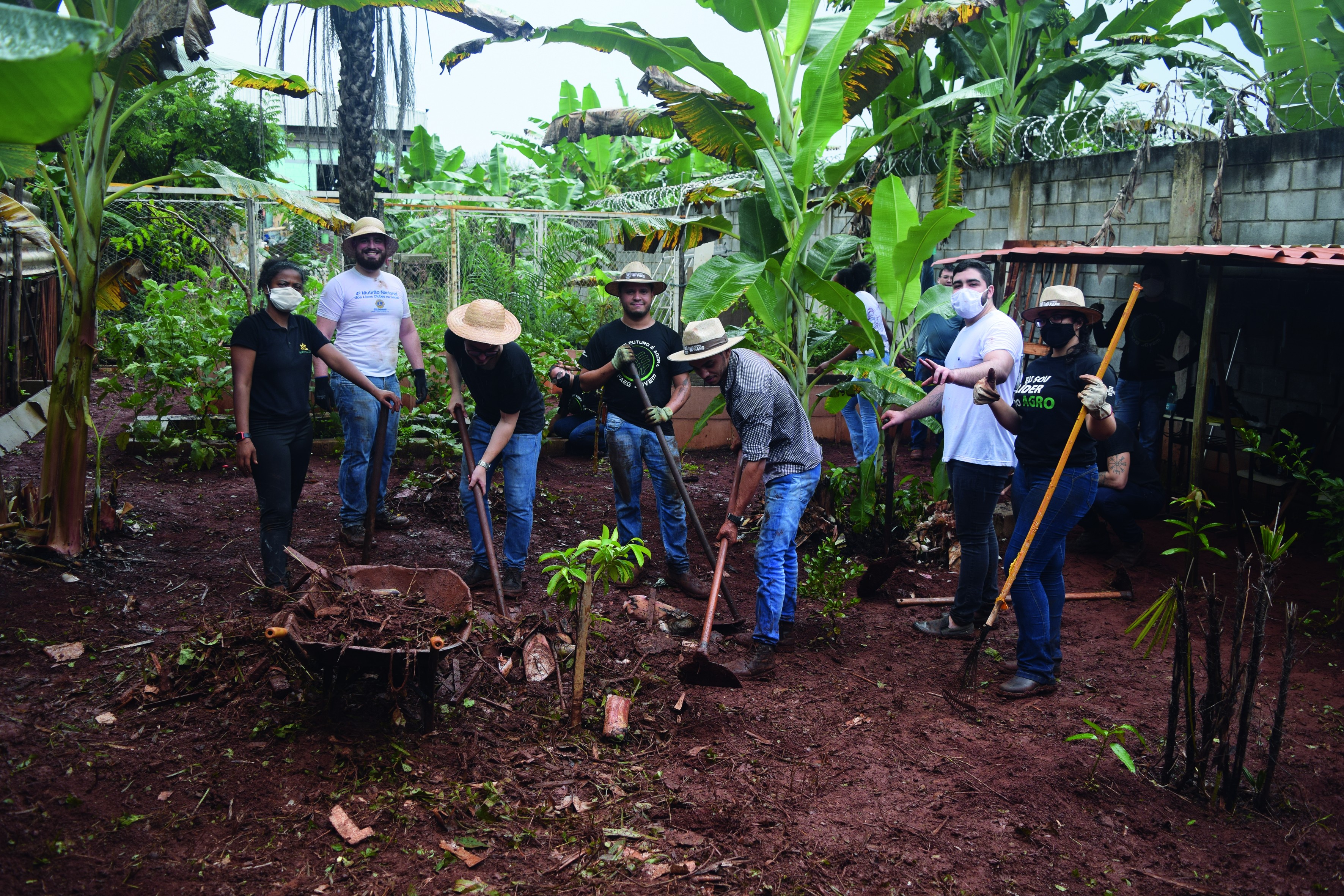 Voluntariado - Acima, grupo prepara terreno para a instalação de horta; abaixo, Wander Aguiar Neto e a horta da Cooper Rama. (Foto: Divulgação )