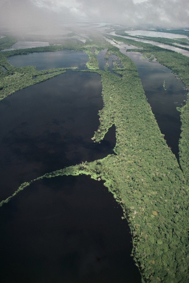 A maze of islands, the Anavilhanas, stretches for 20 km along the Rio Negro, a few hours from Manaus, forming the largest fluvial freshwater archipelago in the world and housing one of the most beautiful ecological reserves in the Amazon Basin. (Photo by  (Foto: Sygma via Getty Images)