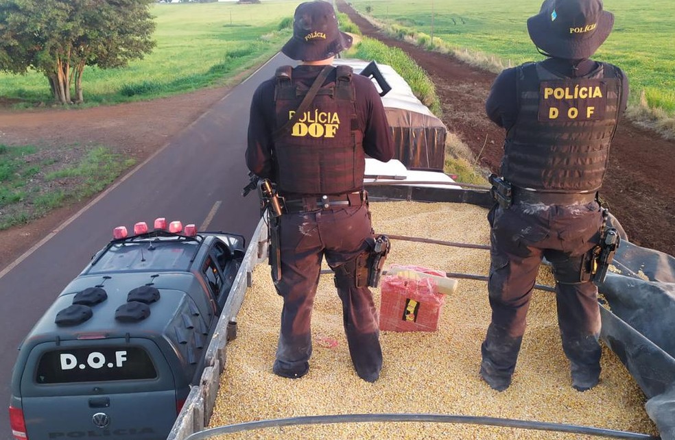 Droga estava escondida em uma carga de milho. — Foto: DOF/Divulgação