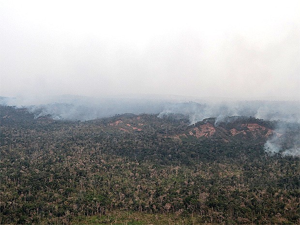 Queimadas consumiram 45% da reserva Arariboia, no Maranhão (Foto: Divulgação / Ibama)