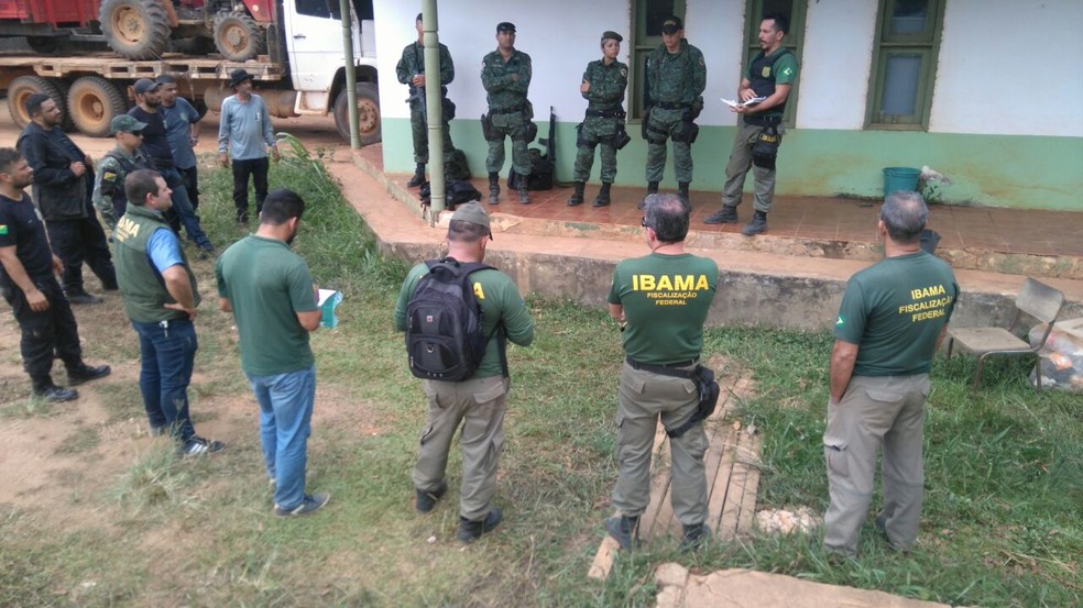 Ibama e Polícia Ambiental deflagraram operação após denúncia (Foto: Divulgação/Ibama)