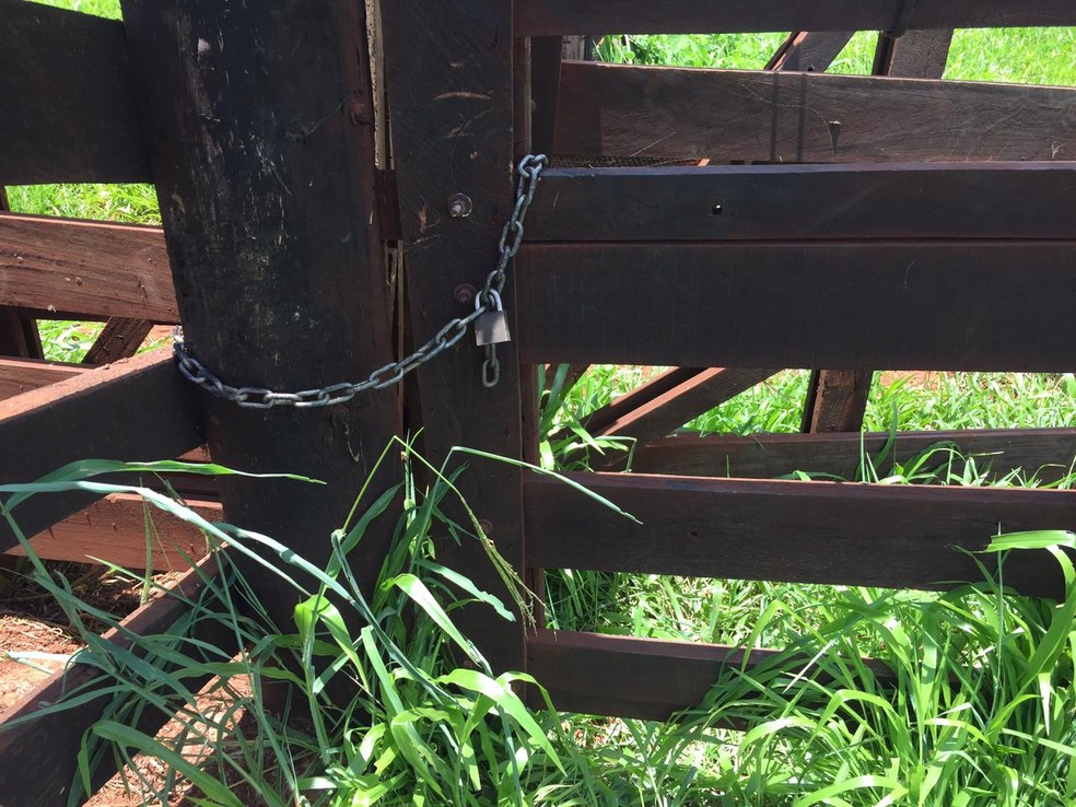 Suspeitos tentaram arrombar cadeado para furtar gado em Iturama — Foto: Polícia Militar/Divulgação