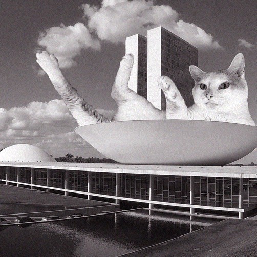 Você precisa conhecer este perfil no Instagram que reúne gatos e arquitetura  (Foto: Cats of Brutalism)