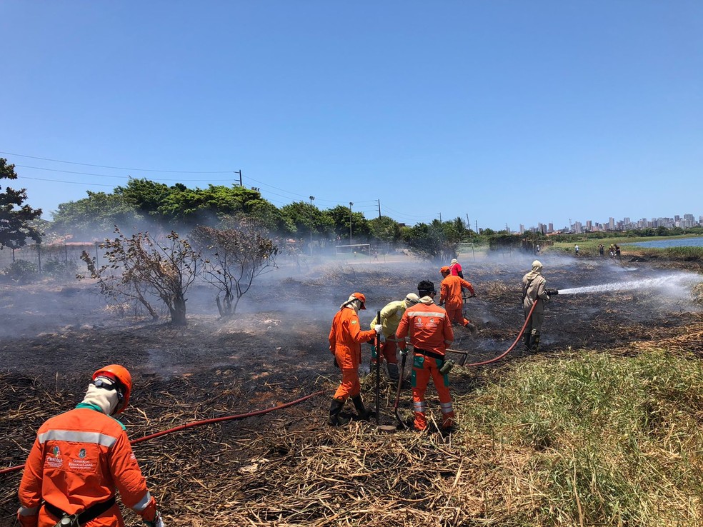 Fogo foi controlado e os bombeiros fizeram o rescaldo na região, para evitar novos focos. — Foto: Corpo de Bombeiros/ Divulgação