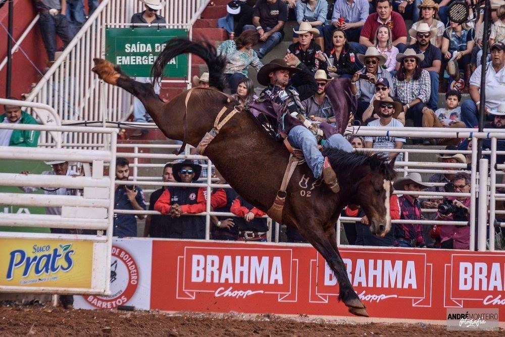 Surfista de SP troca mar e prancha por poeira e arreios para competir no  rodeio em cavalos, Festa do Peão de Barretos 2022