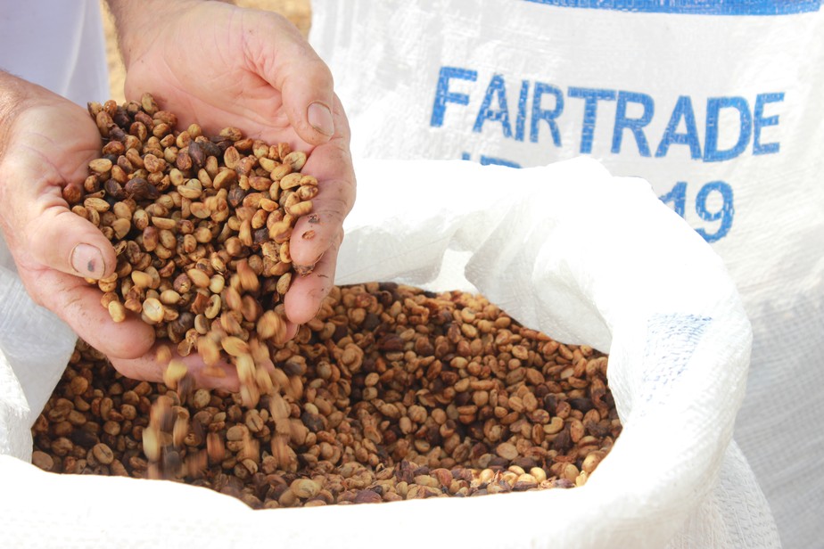 Sistema de certificação Fairtrade prevê o cumprimento de boas práticas trabalhistas e a garantia de remuneração para pequenos produtores