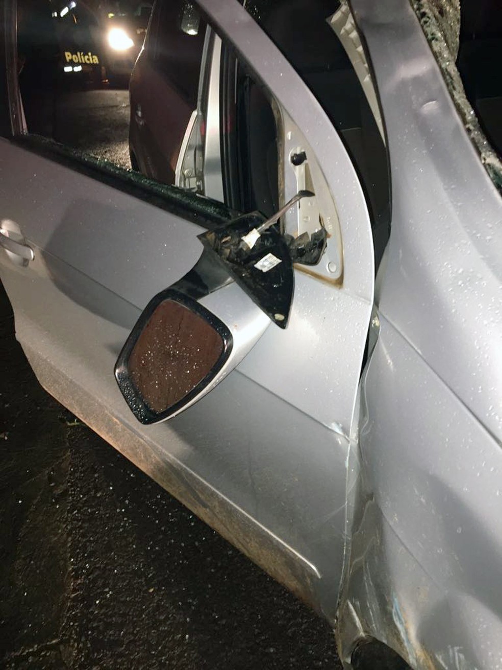 Atropelamento foi na Rodovia Comandante João Ribeiro de Barros (SP-294), em Dracena (Foto: Mariane Santos/TV Fronteira)