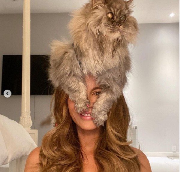 A atriz Kate Beckinsale com o gato Clive (Foto: Instagram)