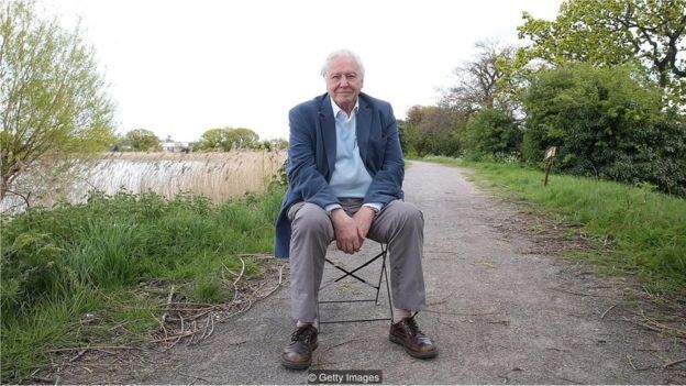 Sir David Attenborough, de 92, tem confiança de que chegará aos 100 - e não tem planos de se aposentar (Foto: GETTY IMAGES/via BBC News Brasil)