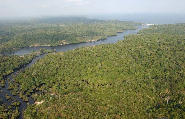 Amazônia (Foto: Agência EFE)