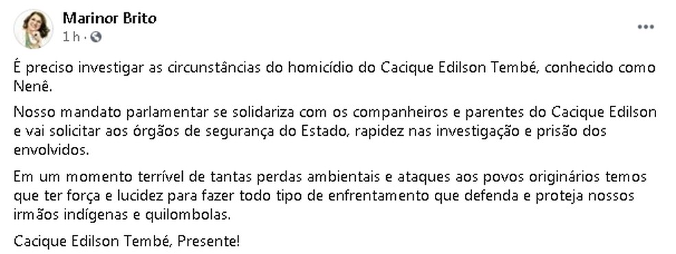 Deputada cobre respostas sobre assassinato de cacique no Pará. — Foto: Reprodução / Facebook