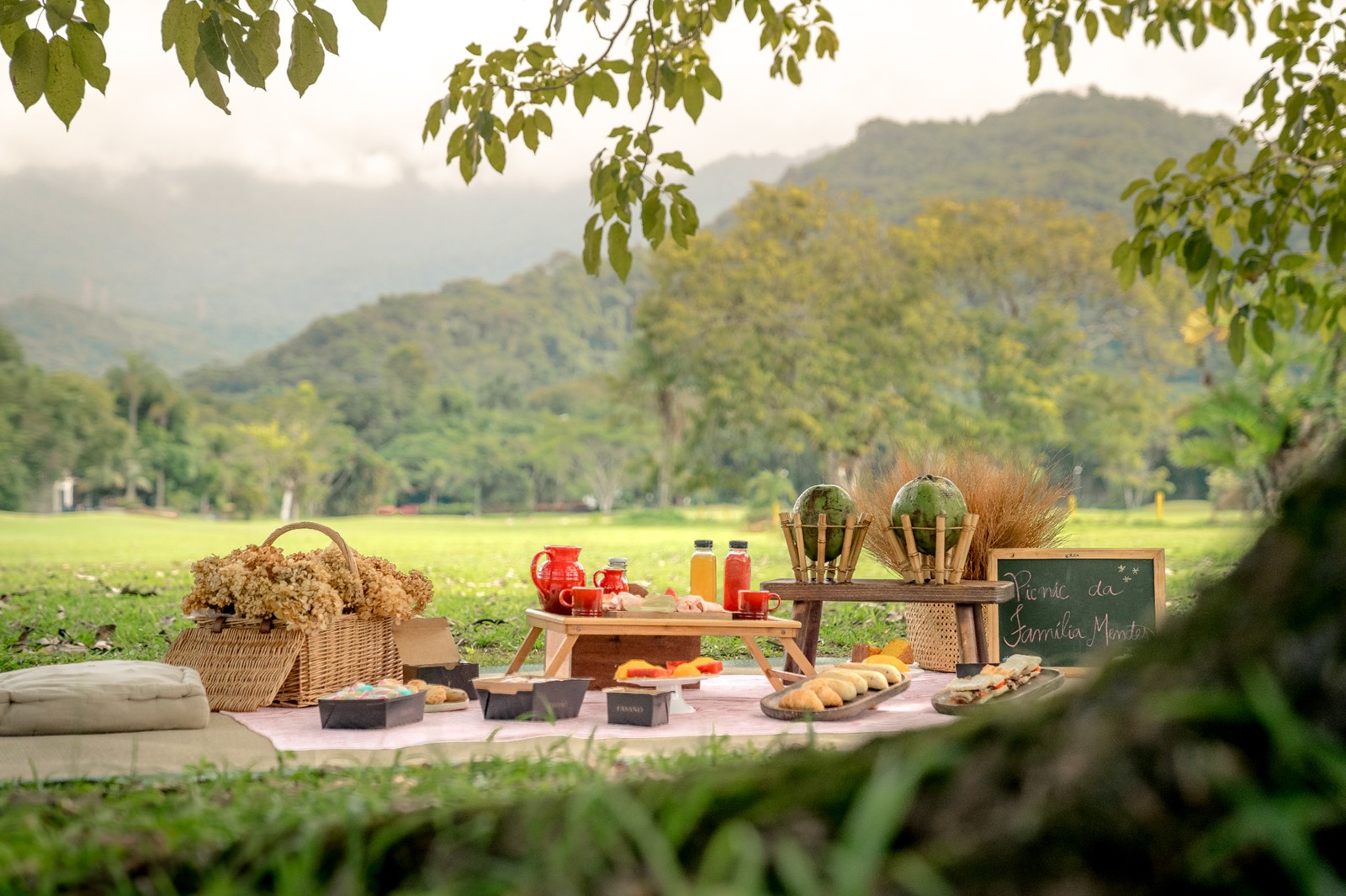 O picnic é uma das experiências do Hotel Fasano Angra dos Reis — Foto: Matias Ternes