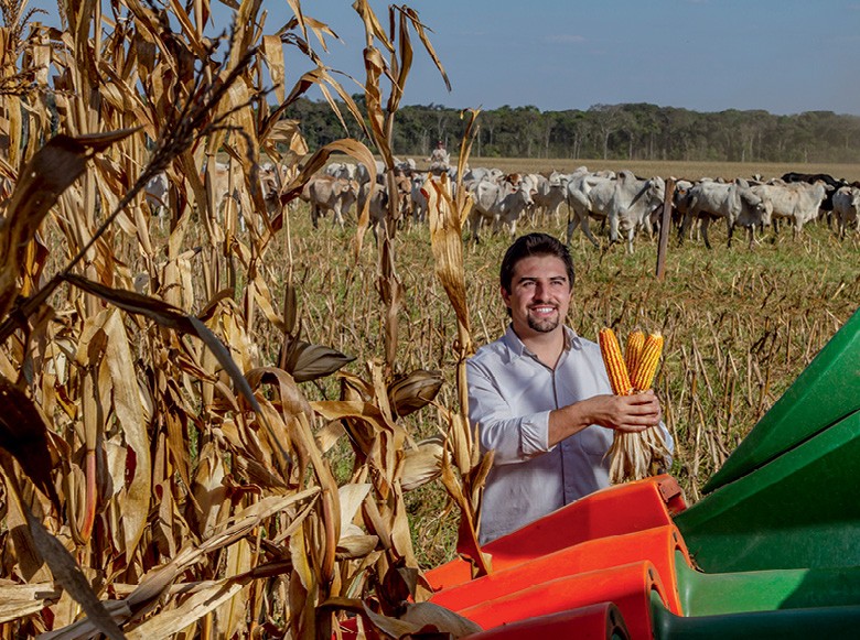 moinho de vento. Fazenda. marcos para o processamento de grãos ou