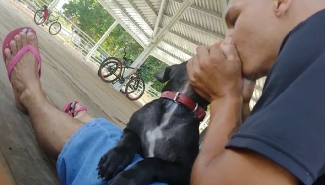 Vídeo mostra adolescente sufocando filhote de cachorro com fumaça de cigarro em MG: 'Se morrer é só comprar outro'