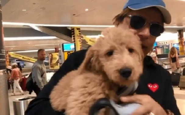 Tom Cavalcante Apresenta Seu Novo Cachorro Ribamar Ii Lamounier Cavalcante Revista Glamour Celebridades