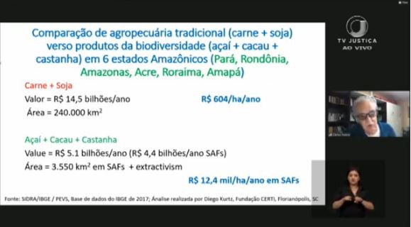 amazônia-produtos-carlos-nobre (Foto: Reprodução/TV Justiça)