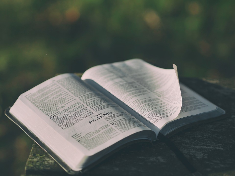 Bíblia  (Foto: Pixabay/Pexels/Creative Commons)