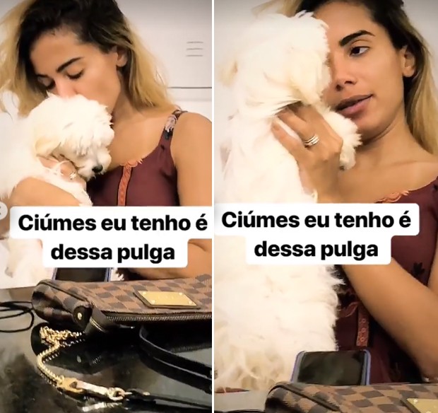 Anitta e cachorro (Foto: Reprodução/Instagram)