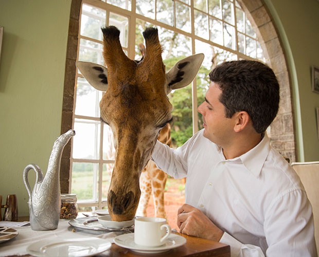 Conheça a mansão das girafas no Domingão Aventura (Foto: João Paulo Krajewski)