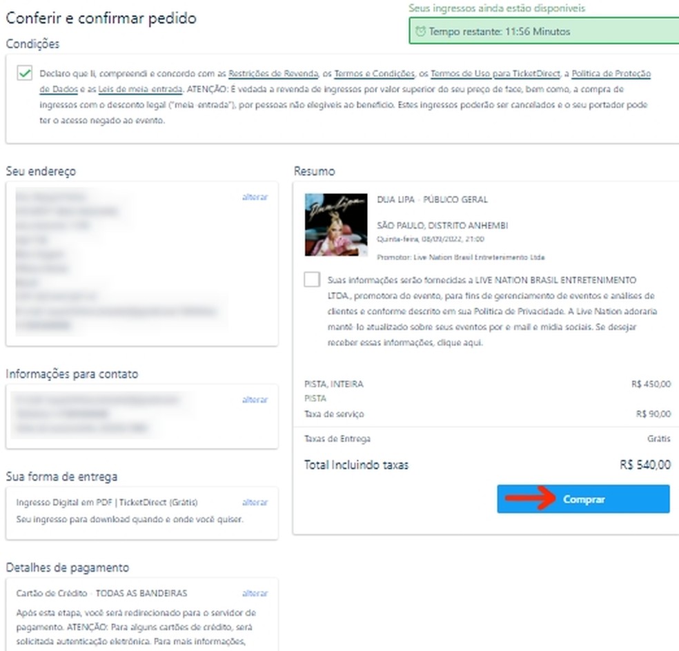 Tela de confirmação de compra do ingresso para show da Dua Lipa SP — Foto: Reprodução/Raquel Freire