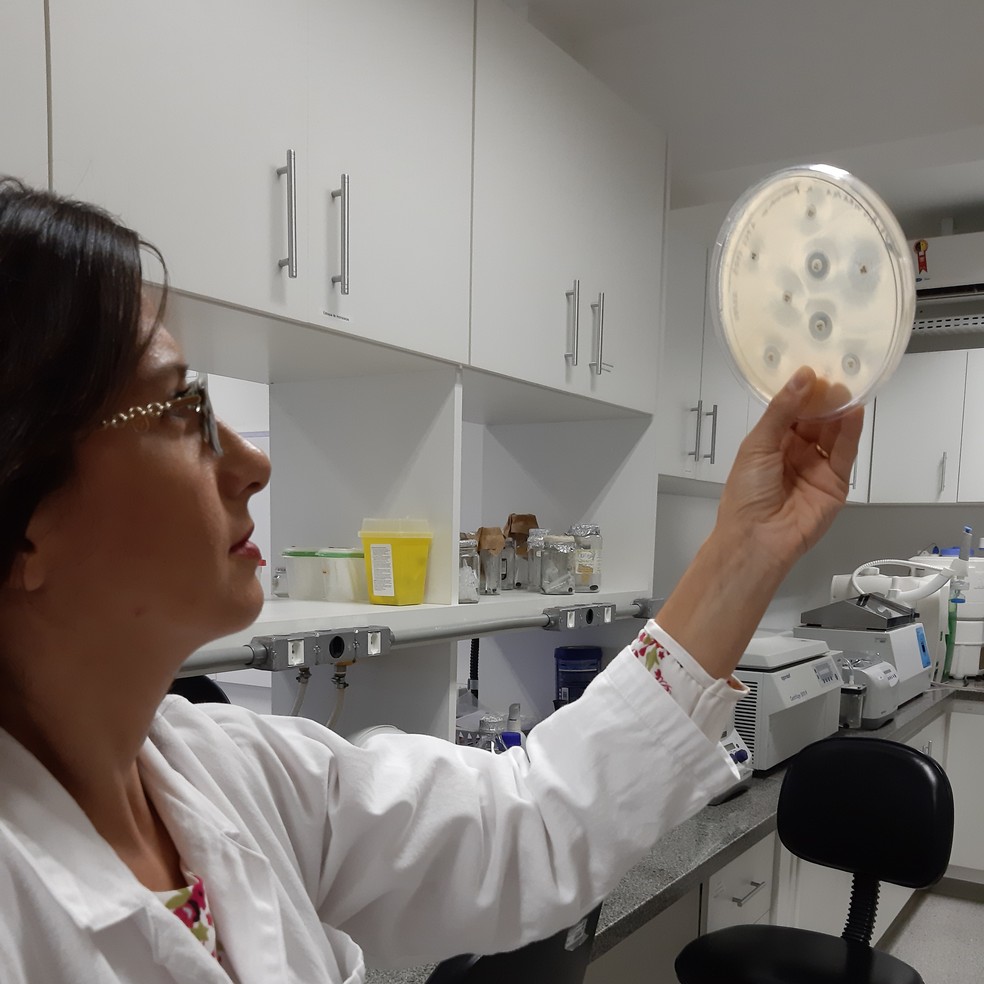 A farmacêutica bioquímica Ilana Camargo testa potenciais medicamentos contra bactérias — Foto: Arquivo Pessoal