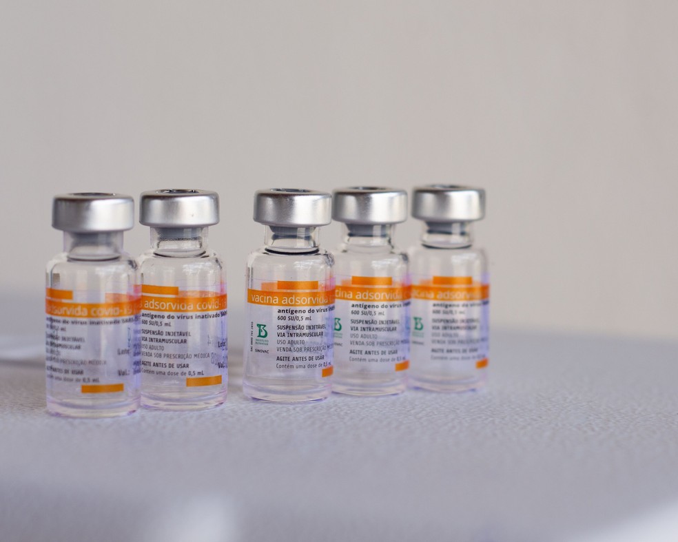 O lote que chega nesta sexta contém 124.400 doses da vacina CoronaVac. — Foto: ANDRE OCCENSTEIN/PHOTOPRESS/ESTADÃO CONTEÚDO