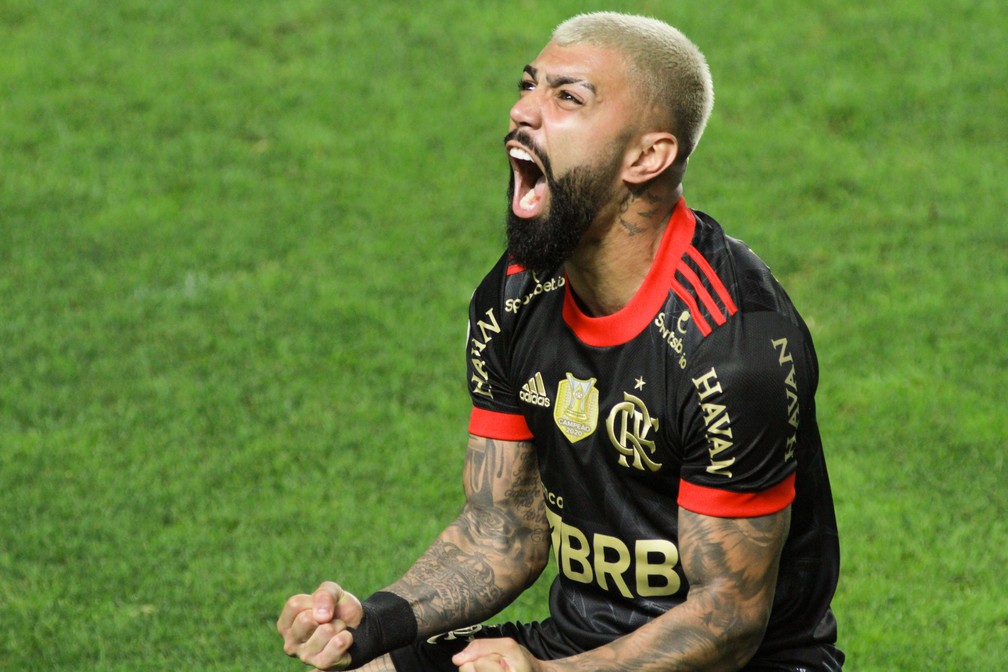 Gol de Gabigol em Santos x Flamengo — Foto: Agif