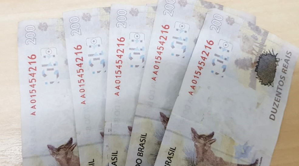 De acordo com o pedreiro, as notas ilegais foram compradas na feira do troca em Arapiraca (AL) — Foto: Polícia Federal/Divulgação