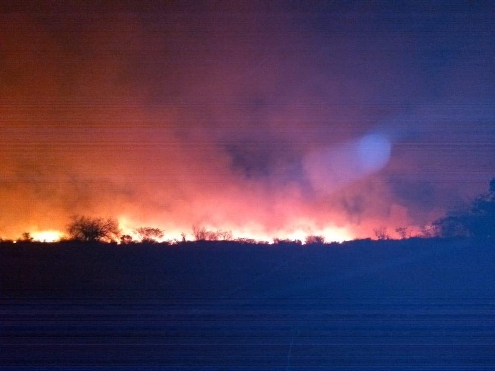 Chamas atingiram reserva em Presidente Epitácio (Foto: Corpo de Bombeiros/Diculgação)