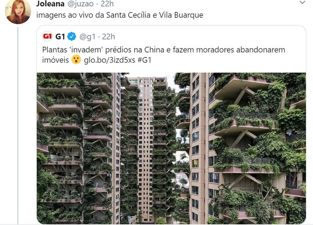Paisagismo dá errado em condomínio chinês e local fica coberto de vegetação; veja os memes (Foto: Reprodução / Twitter)