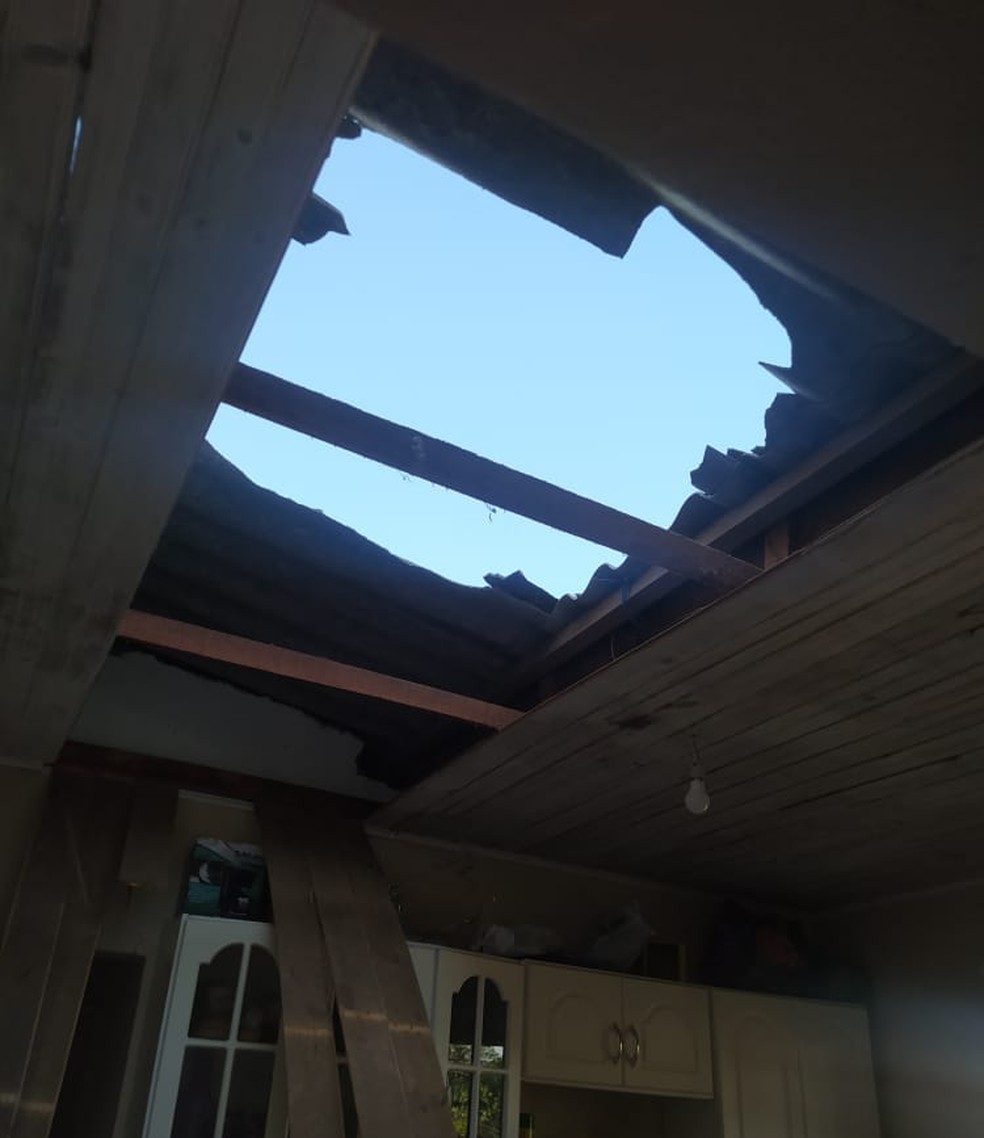 Moradora se assustou após bode subir em telhado e cair na cozinha de casa em Sorocaba — Foto: Luciana Vidigal/Arquivo Pessoal