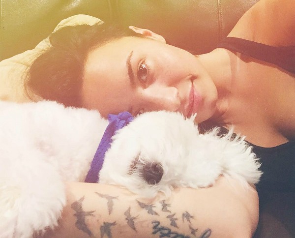 Demi Lovato e o Buddy (Foto: Reprodução Instagram)