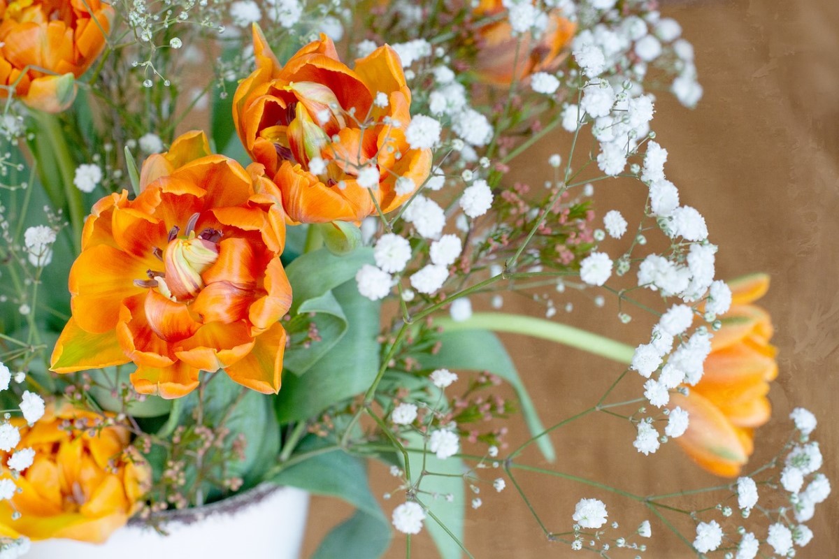 Em ramalhetes compostos por rosas, cravos, flores do campo e até folhagens, tornou-se um complemento tradicional. (Foto: Pixabay / Pezibear / CreativeCommons)
